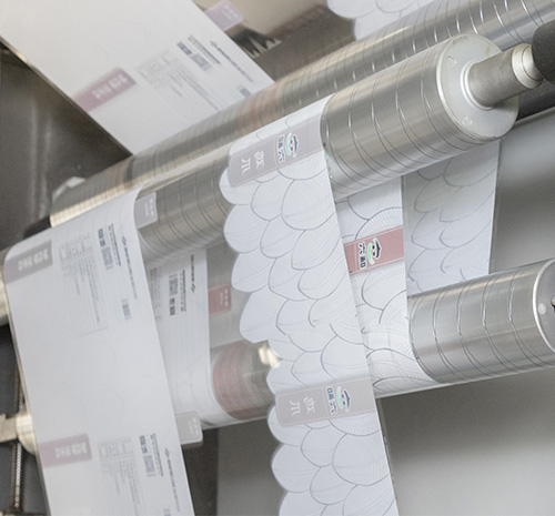 Flexible packaging films at printing process