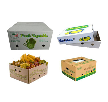product fruit and vegetable packaging 3